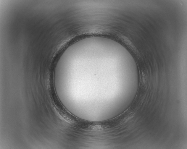 X0000062860588200601271532