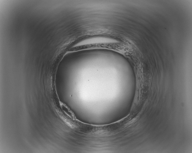 X0000062860589200601271532