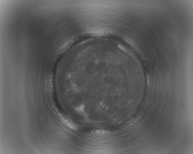 X0000062860590200601271532