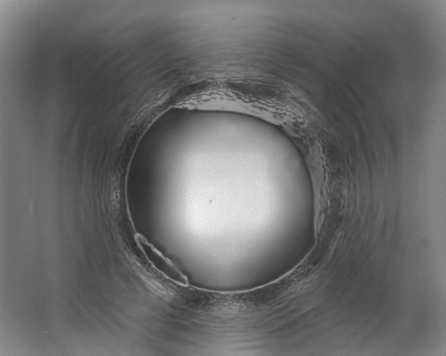 X0000062860593200601271532