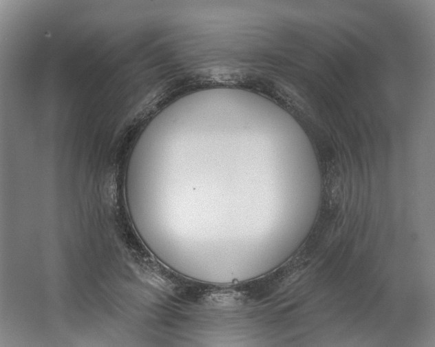 X0000062860595200601271532