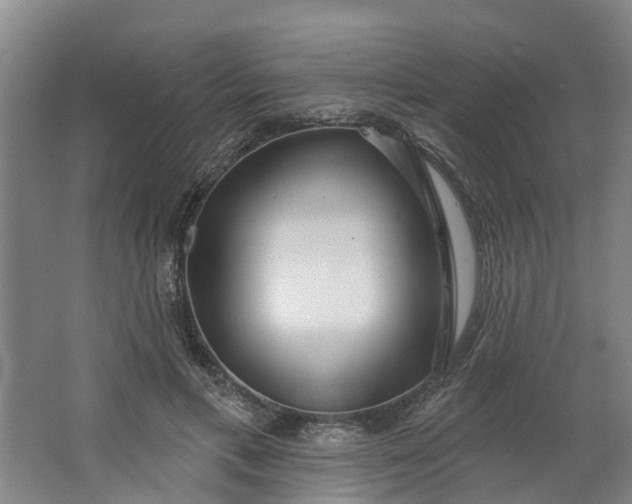 X0000062860597200601271532