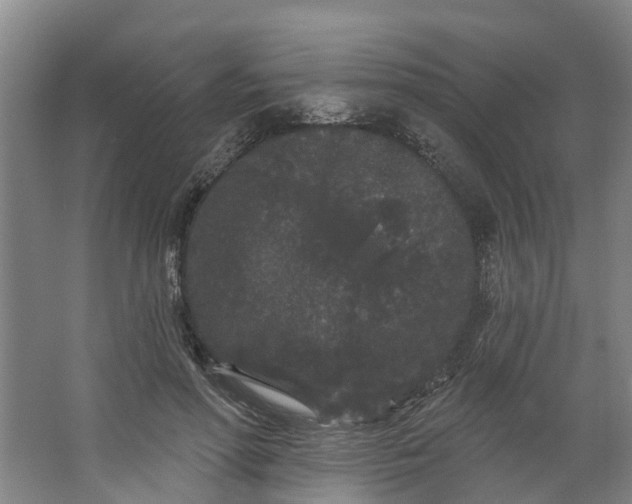 X0000062860598200601271532