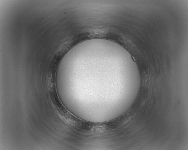 X0000062860599200601271532