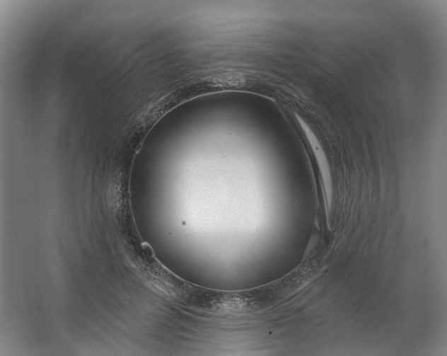 X0000062860600200601271532