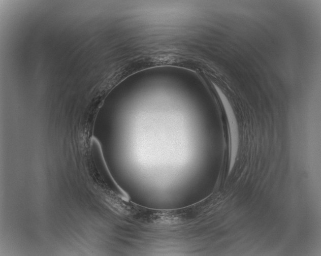 X0000062860601200601271532