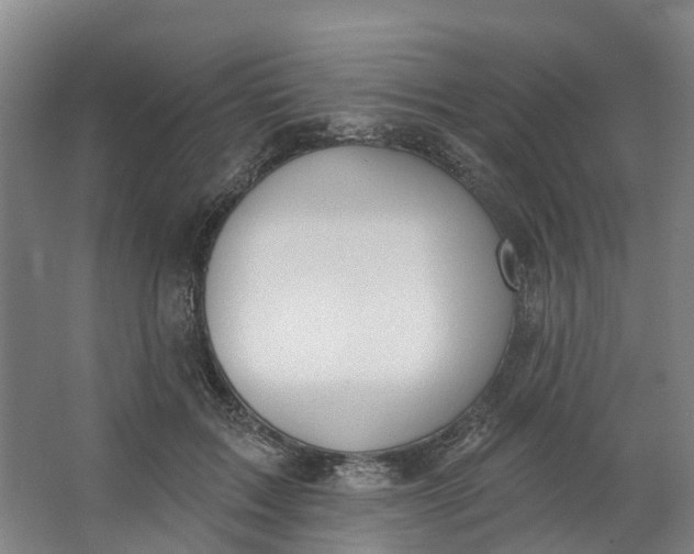 X0000062860603200601271532