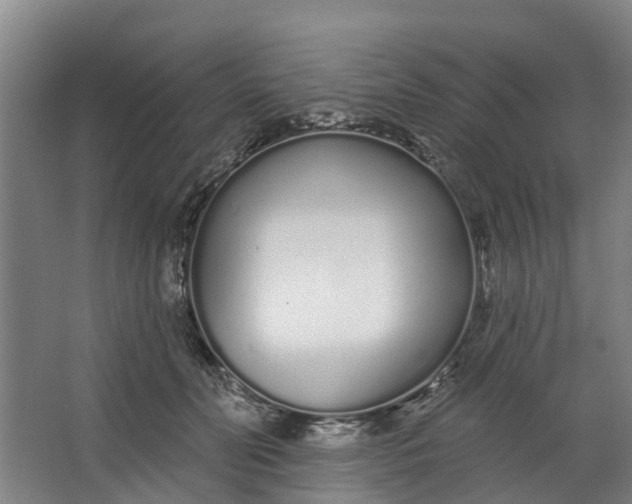 X0000062860606200601271532