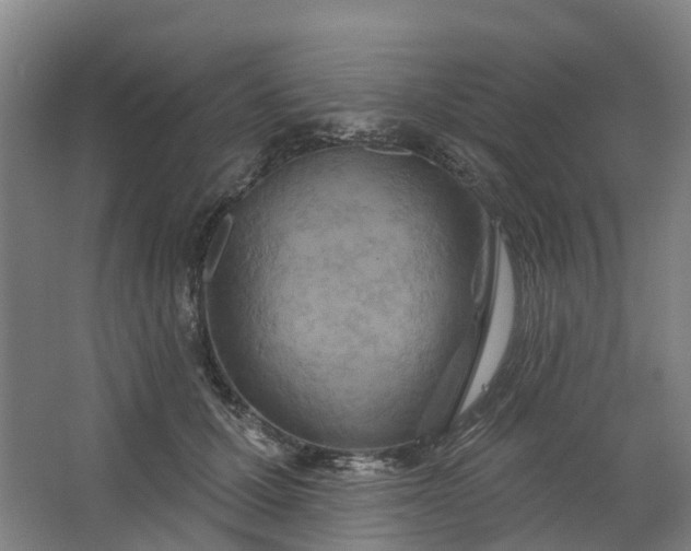 X0000062860607200601271532