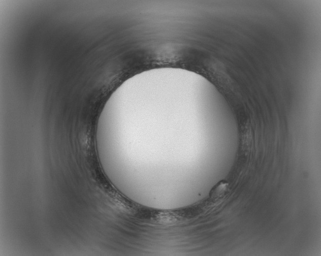 X0000062860608200601271532