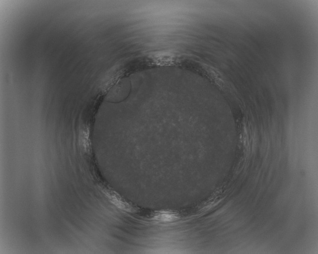 X0000062860610200601271532