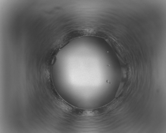 X0000062860613200601271532