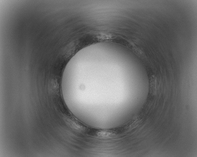 X0000062860614200601271532