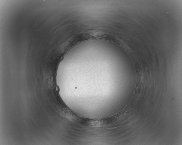 X0000062860615200601271532