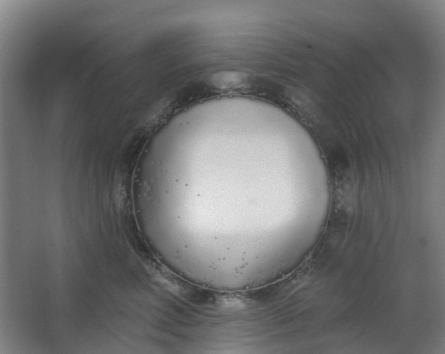 X0000062860618200601271532