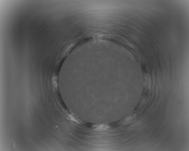 X0000062860621200601271531