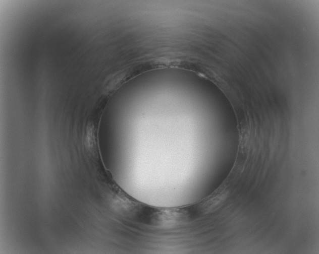 X0000062860623200601271531