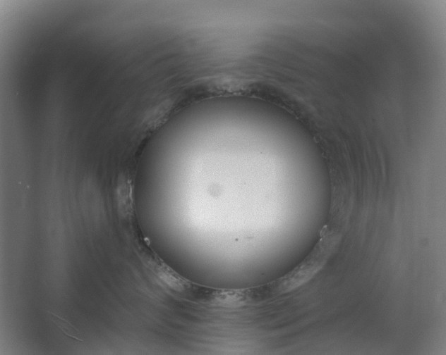 X0000062860624200601271531