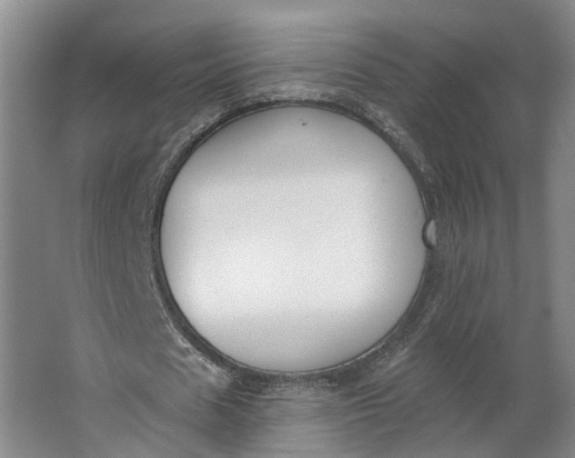 X0000062860625200601271531