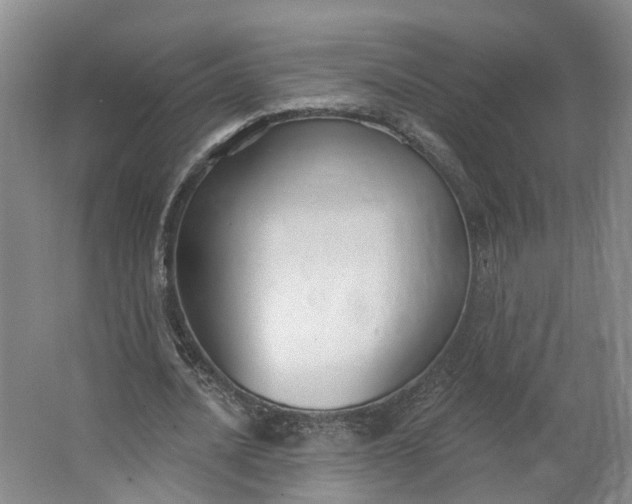 X0000062860628200601271531