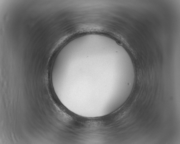 X0000062860629200601271531