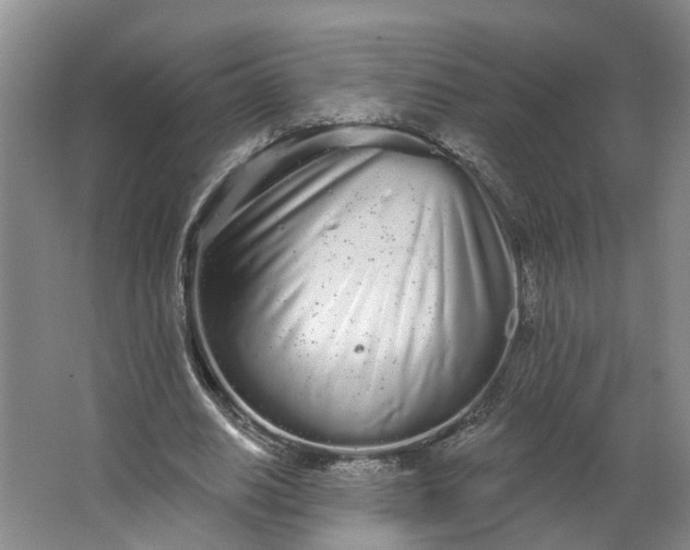 X0000062860630200601271531