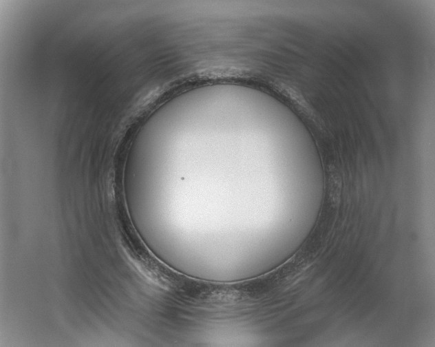 X0000062860631200601271531