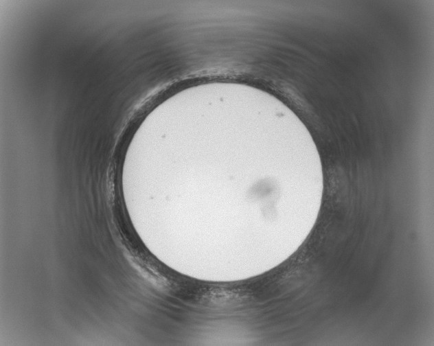 X0000062860632200601271531