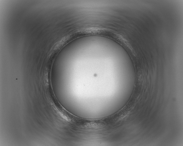 X0000062860633200601271531