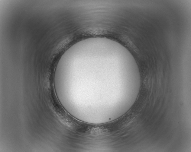 X0000062860635200601271531