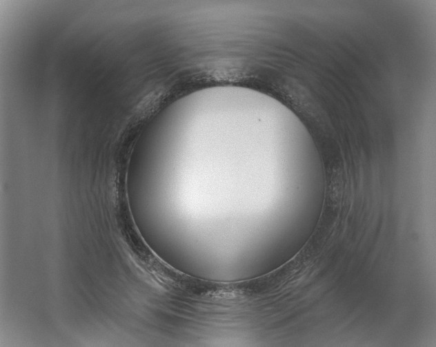 X0000062860639200601271531