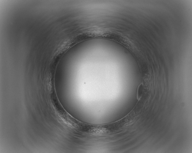 X0000062860642200601271531