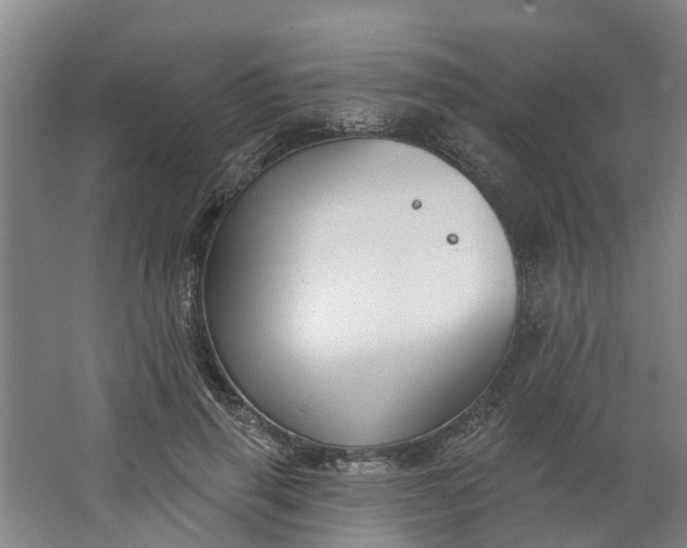 X0000062860645200601271531