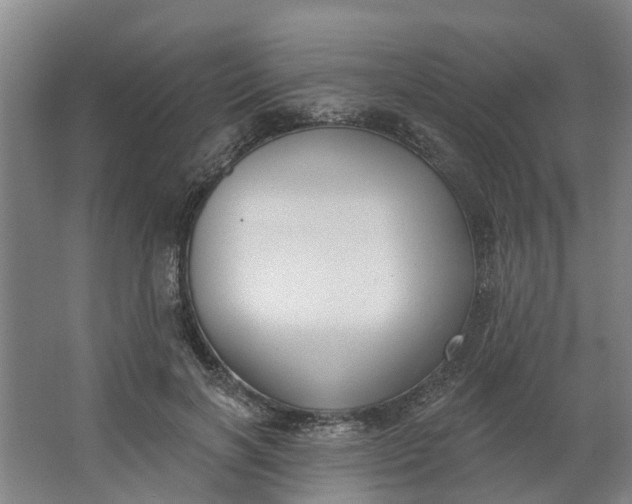 X0000062860646200601271531