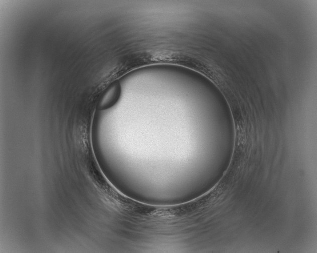 X0000062860648200601271531