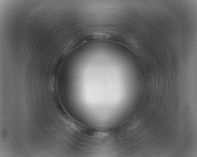 X0000062860649200601271531