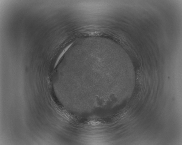 X0000062860650200601271531