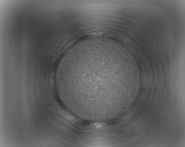 X0000062860654200601271531