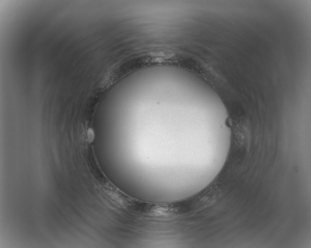 X0000062860657200601271531