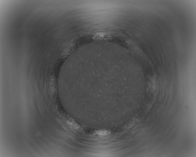 X0000062860659200601271531