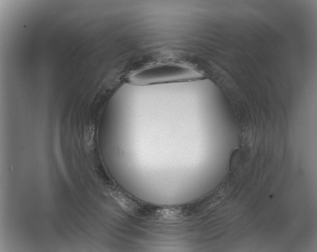 X0000062860660200601271531