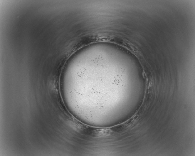 X0000062860663200601271531