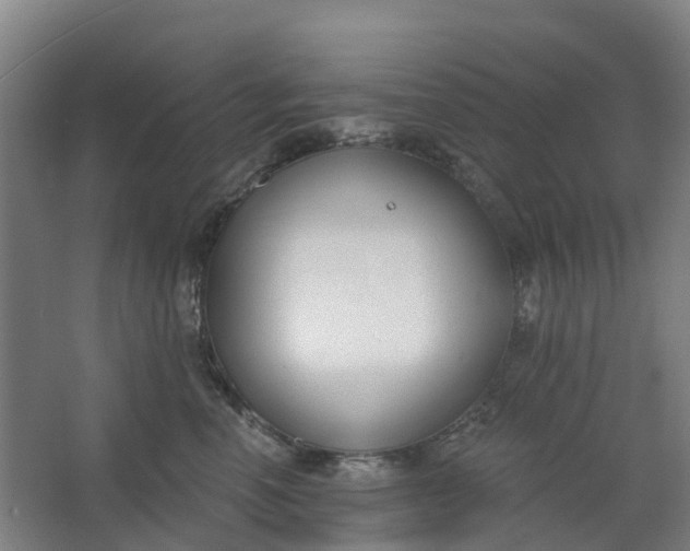 X0000062860666200601271531