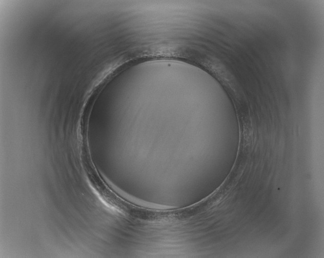 X0000062860674200601271531