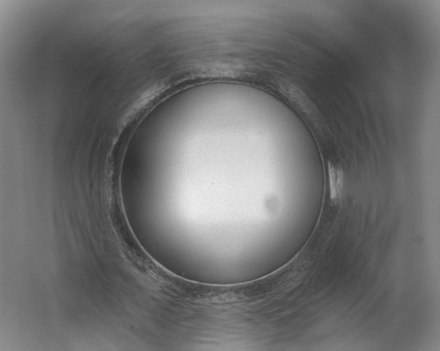 X0000062860675200601271531