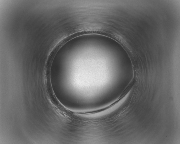 X0000062860676200601271531