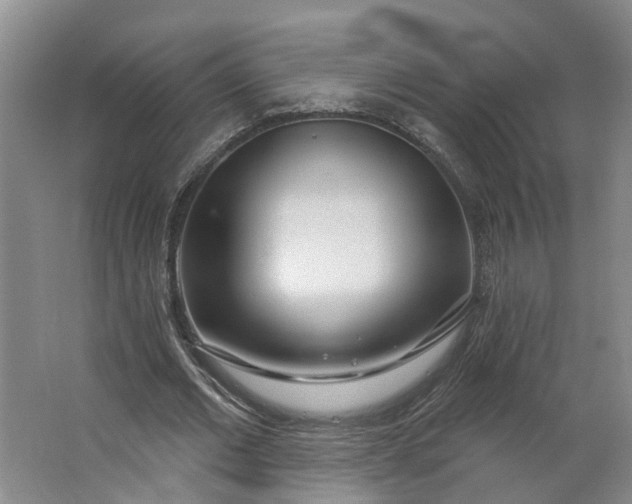 X0000062860677200601271531