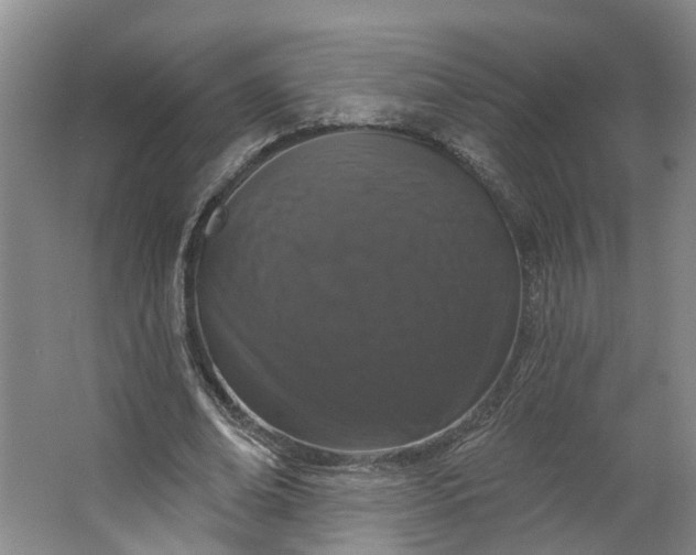 X0000062860678200601271531