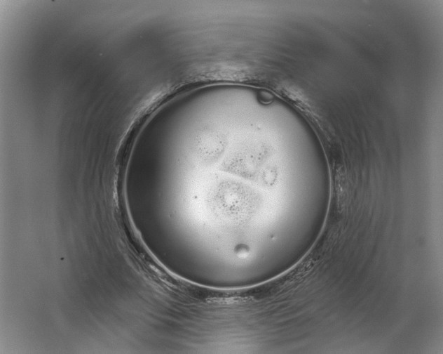 X0000062860679200601271531