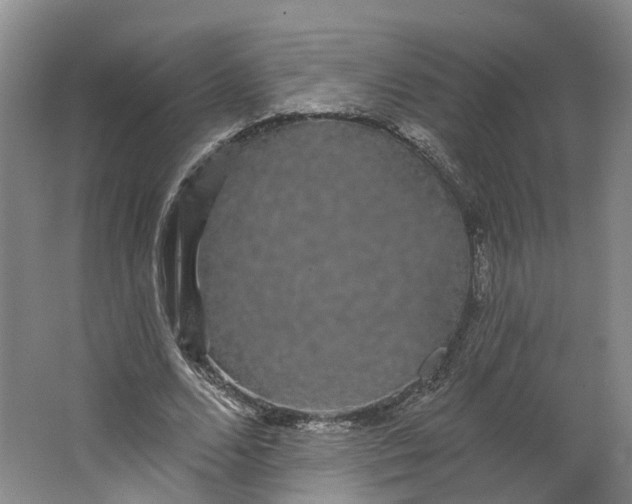 X0000062860680200601271530